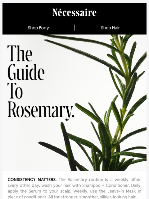 necessaire newsletter: Rosemary, Day-By-Day