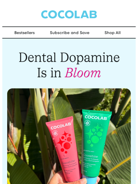 cocolab newsletter: Even bunnies need to floss