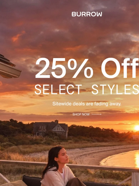 burrow newsletter: Savings are fading away...