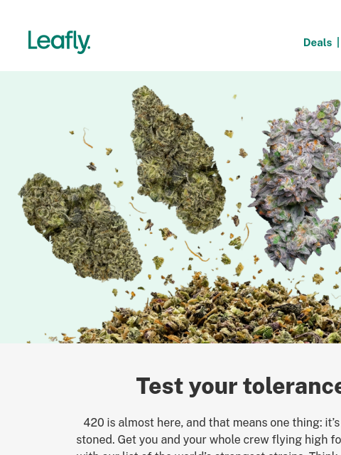 leafly newsletter: The heaviest-hitting strains 🥊