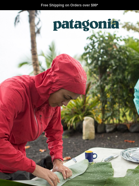 patagonia newsletter: Daily rainwear to keep you happily dry