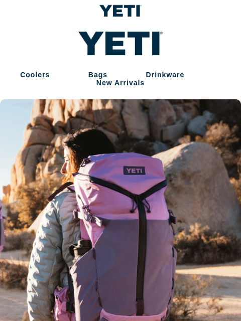 yeti newsletter: Meet Desert Bloom — A Burst Of Life Across Arid La...