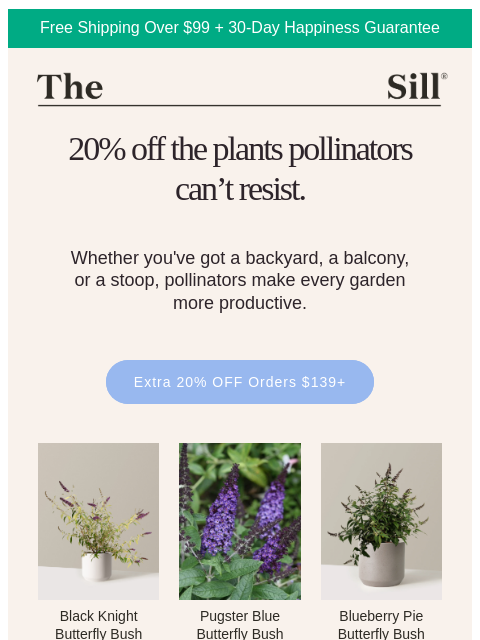 thesill newsletter: The secret to a better garden