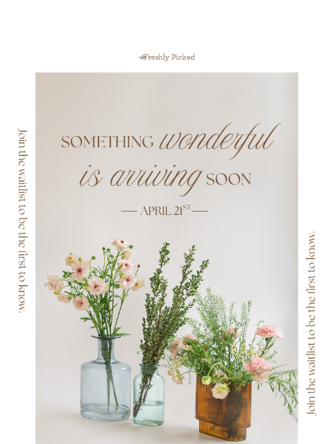 freshlypicked newsletter: Sneak Peek Inside! 👀