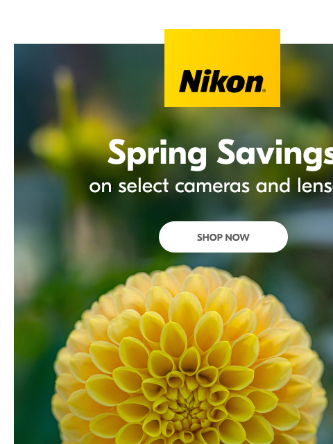 nikon newsletter: The Spring Sale you’ve been waiting for!
