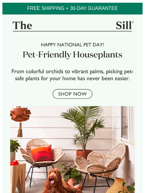 How to choose plants for homes with curious pets ͏ ͏ ͏ ͏ ͏ ͏ ͏ ͏ ͏ ͏ ͏ ͏ ͏ ͏ ͏ ͏ ͏ ͏ ͏ ͏ ͏ ͏ ͏ ͏ ͏ ͏ ͏ ͏ ͏ ͏ ͏ ͏ ͏ ͏ ͏ ͏ ͏ ͏ ͏ ͏ ͏ ͏ ͏ ͏ ͏ ͏ ͏ ͏ ͏ ͏ ͏ ͏ ͏ ͏ ͏ ͏ ͏ ͏ ͏ ͏ ͏ ͏ ͏ ͏ ͏ ͏ ͏ ͏ ͏ ͏ ͏ ͏ ͏ ͏ ͏ ͏