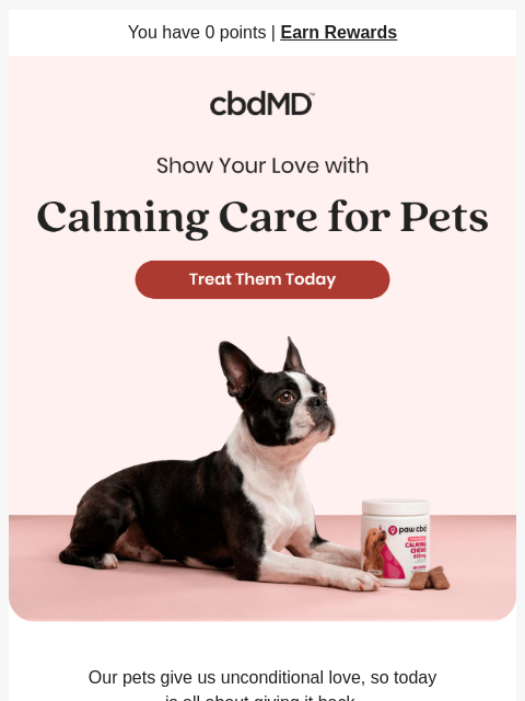cbdmd newsletter: Treat Your Furry Friend to Comfort They Deserve