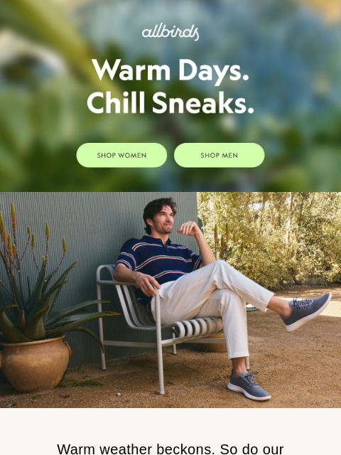 allbirds newsletter: Breezy Shoes For Warmer Days 😎