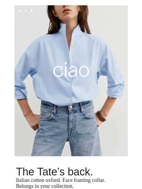 ayr newsletter: it’s back | the chicest shirt