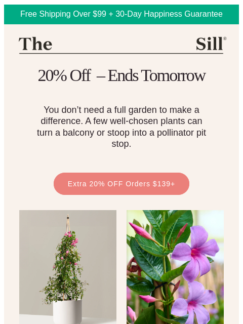 thesill newsletter: Turn your home into a pit stop 🦋