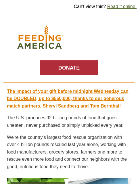 feedingamerica newsletter: Your donation can help rescue 🥕🍎 and feed 2️⃣❎ a...