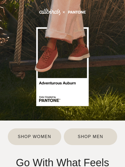 allbirds newsletter: Shoes In Colors You Can Feel 🌈