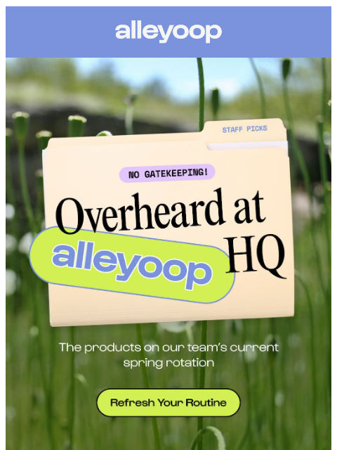 meetalleyoop newsletter: Staff picks: Our current spring rotation 🌸