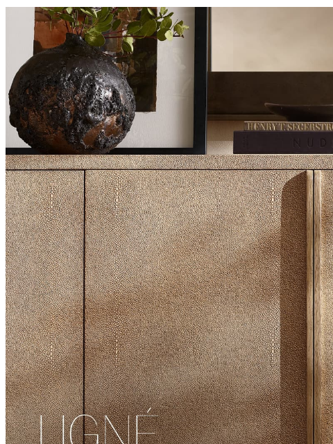 rh newsletter: Introducing Ligné in Shagreen-Embossed Leather