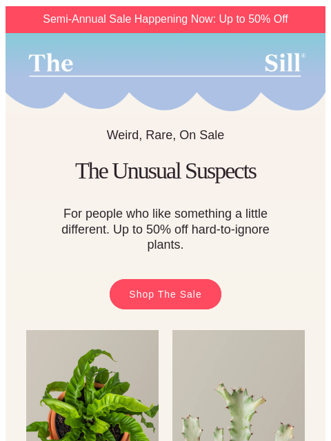 thesill newsletter: Even the weird ones are on sale 👽
