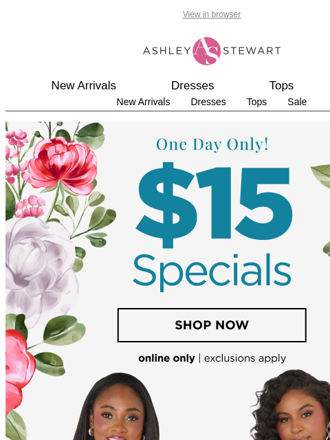 ashleystewart newsletter: ⏳Today Only: $15 SPECIALS