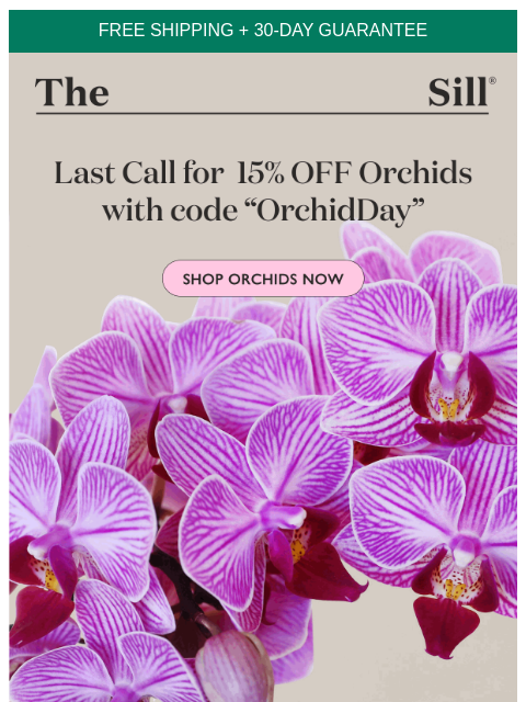 + our plant expert's top orchid tips & tricks ͏ ͏ ͏ ͏ ͏ ͏ ͏ ͏ ͏ ͏ ͏ ͏ ͏ ͏ ͏ ͏ ͏ ͏ ͏ ͏ ͏ ͏ ͏ ͏ ͏ ͏ ͏ ͏ ͏ ͏ ͏ ͏ ͏ ͏ ͏ ͏ ͏ ͏ ͏ ͏ ͏ ͏ ͏ ͏ ͏ ͏ ͏ ͏ ͏ ͏ ͏ ͏ ͏ ͏ ͏ ͏ ͏ ͏ ͏ ͏ ͏ ͏ ͏ ͏ ͏ ͏ ͏ ͏ ͏ ͏ ͏ ͏ ͏ ͏