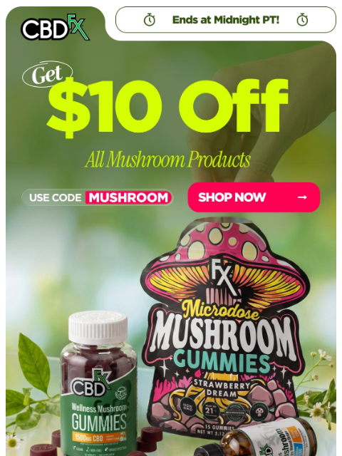 cbdfx newsletter: Last Chance: $10 OFF all Mushroom products! 🍄