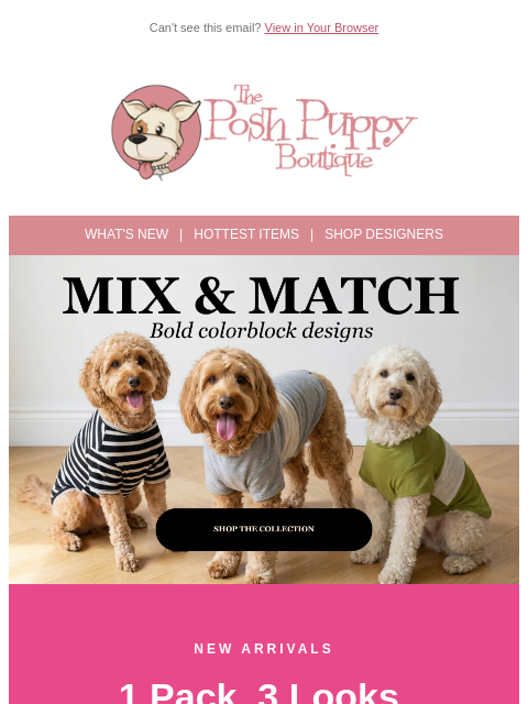 poshpuppyboutique newsletter: 🎨 1 Pack, 3 Looks — New Color Block Shirts Are He...