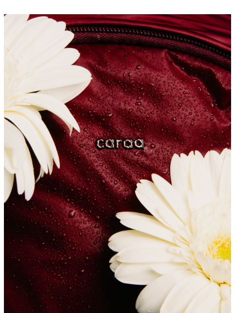 caraa newsletter: Carry Something That Gives Back