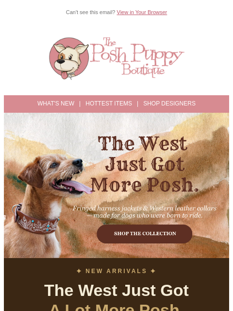 poshpuppyboutique newsletter: Yeehaw! New Western Styles Just Arrived for Your P...