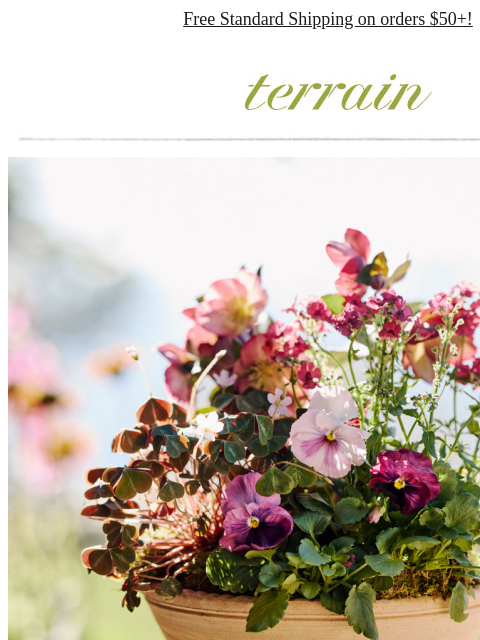 shopterrain newsletter: It's here! NEW Italian Galestro Pottery