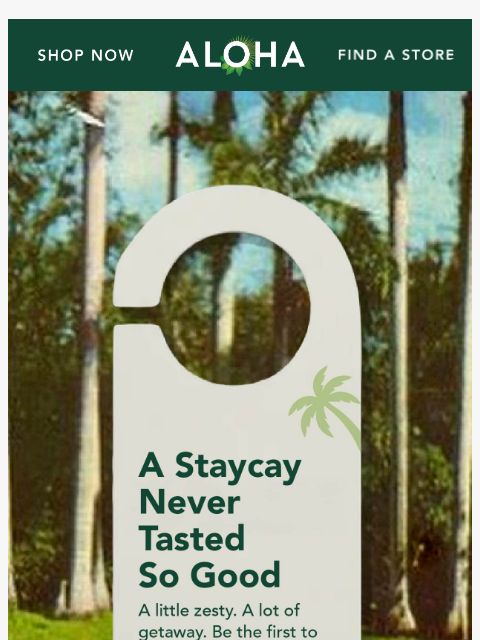 aloha newsletter: Vacation for your tastebuds