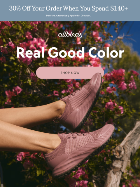allbirds newsletter: New colors. No notes. 🎨