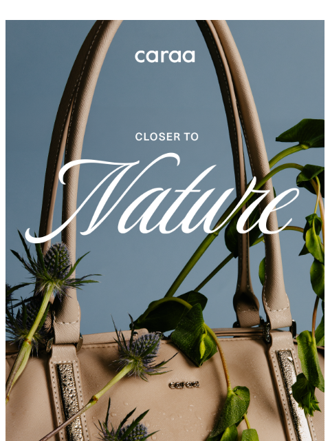 caraa newsletter: Carry it forward