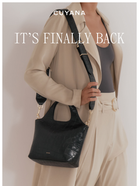 cuyana newsletter: The Mini System in Croco is Back in Stock