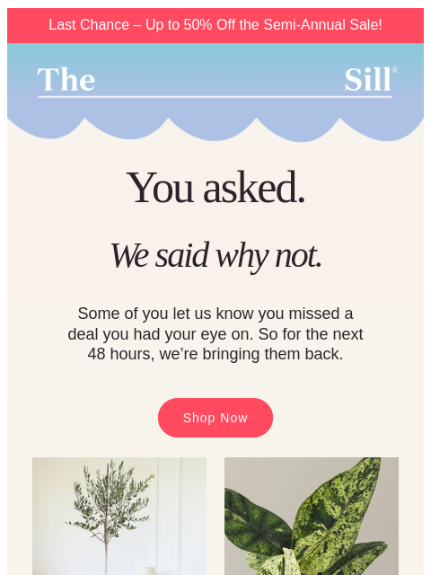 thesill newsletter: You asked...