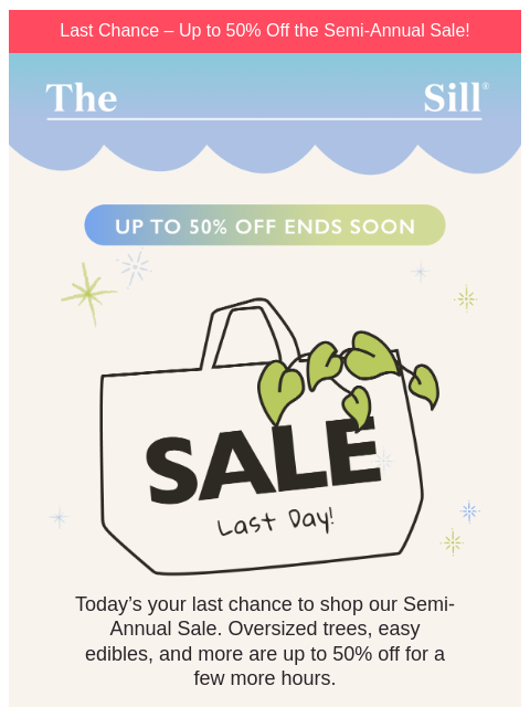 thesill newsletter: Last chance at these prices...