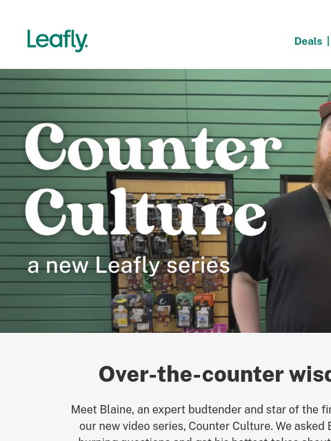 leafly newsletter: Trendy strains from real budtenders 📽️