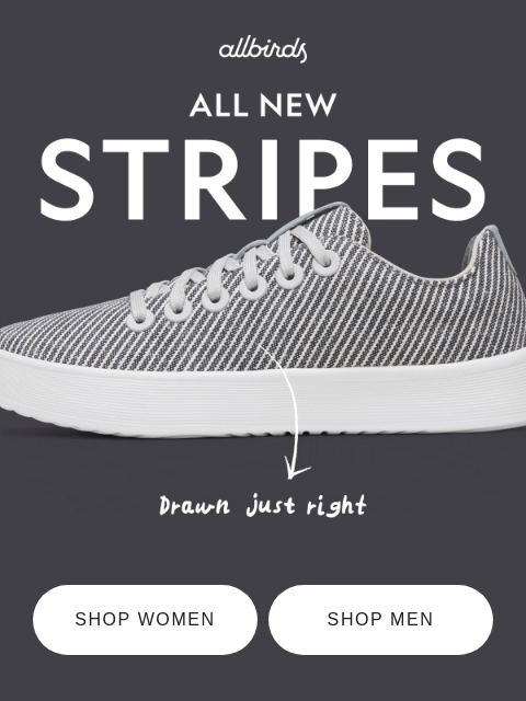allbirds newsletter: Earning your stripes 🦓