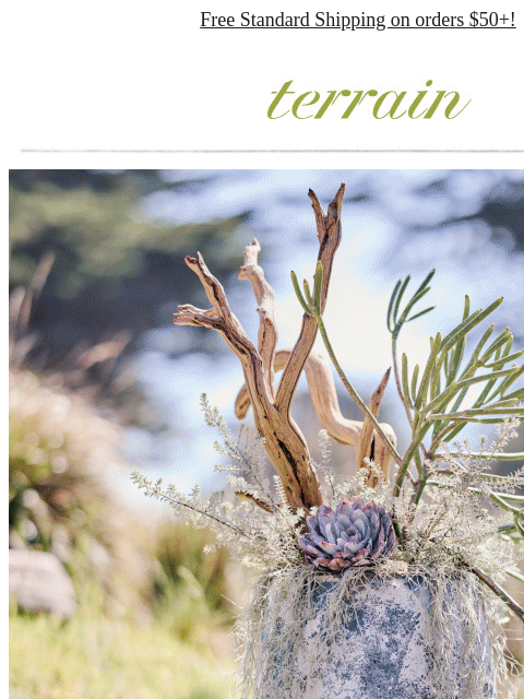 shopterrain newsletter: New planters we’re calling Canyon Blue