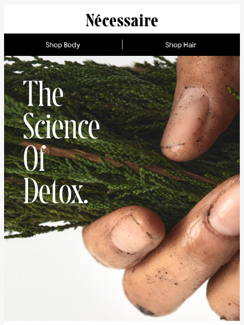 necessaire newsletter: The Power Of Detox