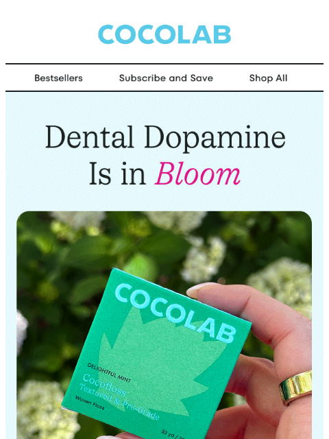 cocolab newsletter: Minis for Spring? Groundbreaking.