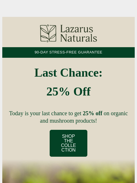 lazarusnaturals newsletter: ⏳Last Chance: 25% Off Ends Tonight