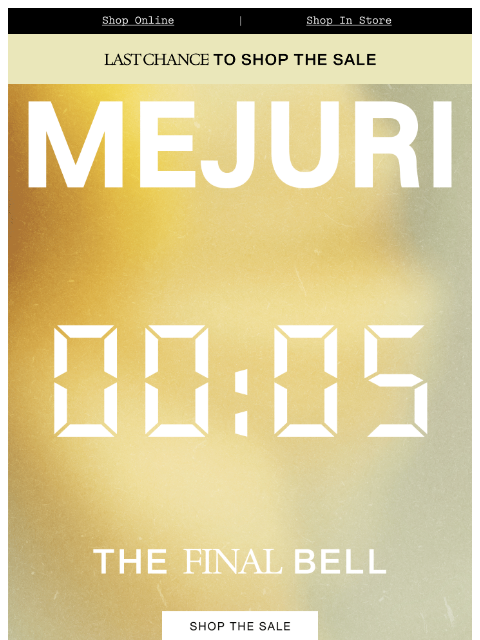 mejuri newsletter: Last Chance to Save