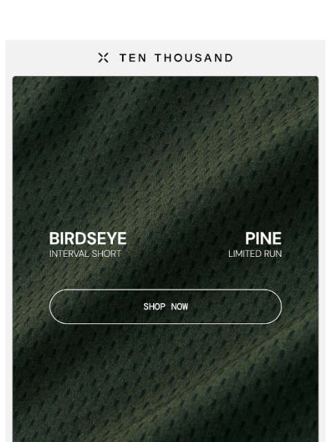 tenthousand newsletter: Limited Run: Birdseye Pine Interval Short