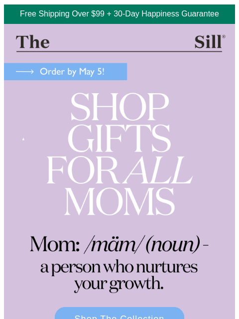 thesill newsletter: Meet the Mother's Day Collection 🫶