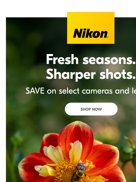 nikon newsletter: Ready to upgrade your camera gear for spring?
