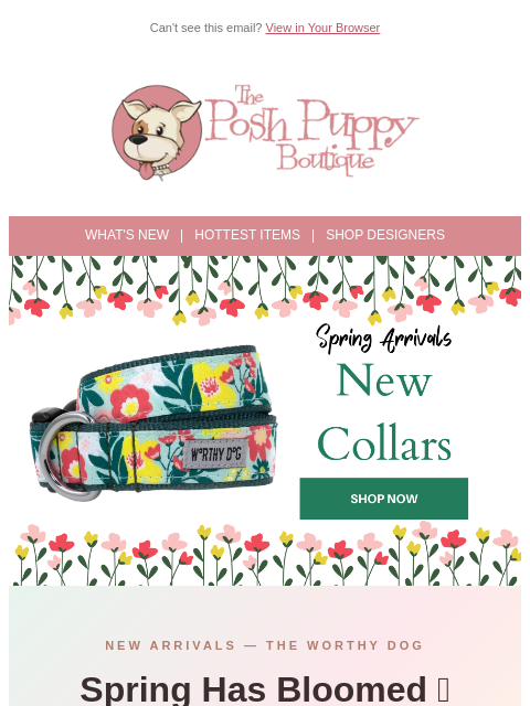 poshpuppyboutique newsletter: 🌸 New Spring Collars Just Bloomed