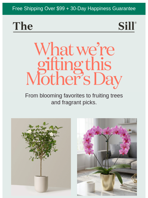 thesill newsletter: Top 8 Gifts for Mom
