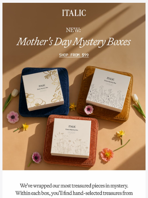 italic newsletter: Today Only: Mystery Boxes starting at $99