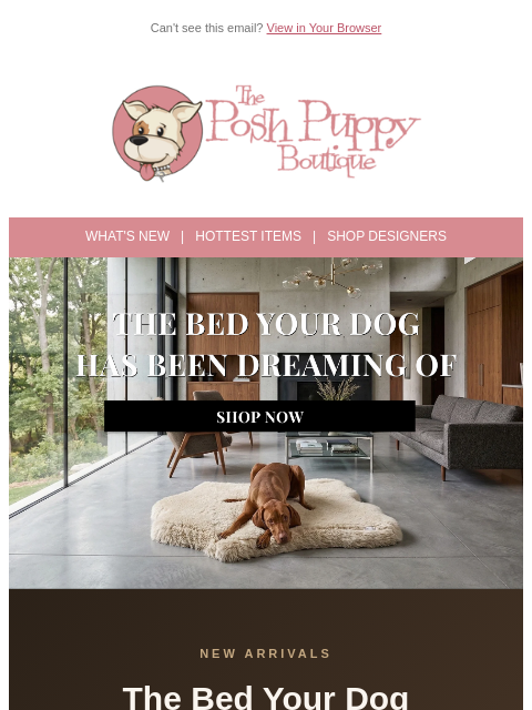 poshpuppyboutique newsletter: 😴 The Bed Your Dog Has Been Dreaming Of