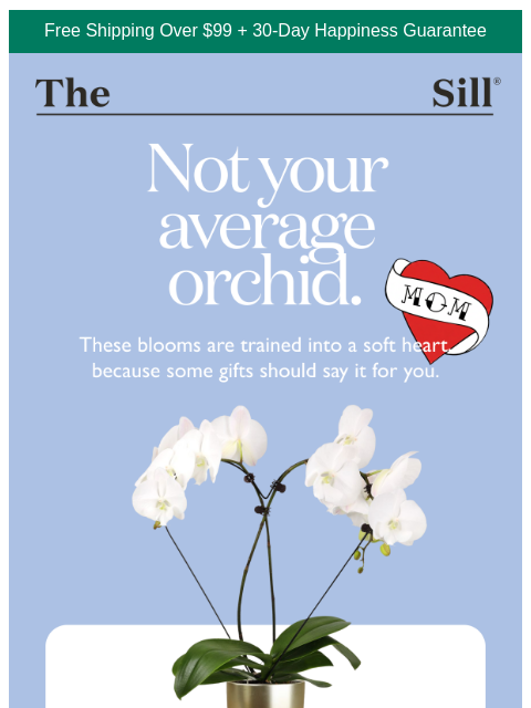 thesill newsletter: *THE* Gift for Mom