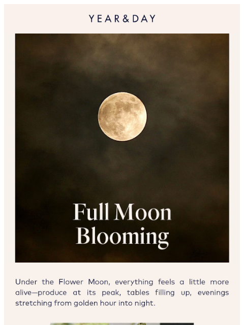 yearandday newsletter: The Flower Moon is in full bloom