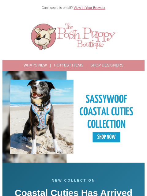 poshpuppyboutique newsletter: 🌊 New Collection Alert: Coastal Cuties Has Arrive...