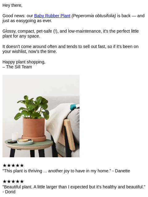 Hey there, Good news: our Baby Rubber Plant (Peperomia obtusifolia) is back — and just as easygoing as ever. Glossy, compact, pet-safe (!), and low-maintenance, it's the perfect little plant for